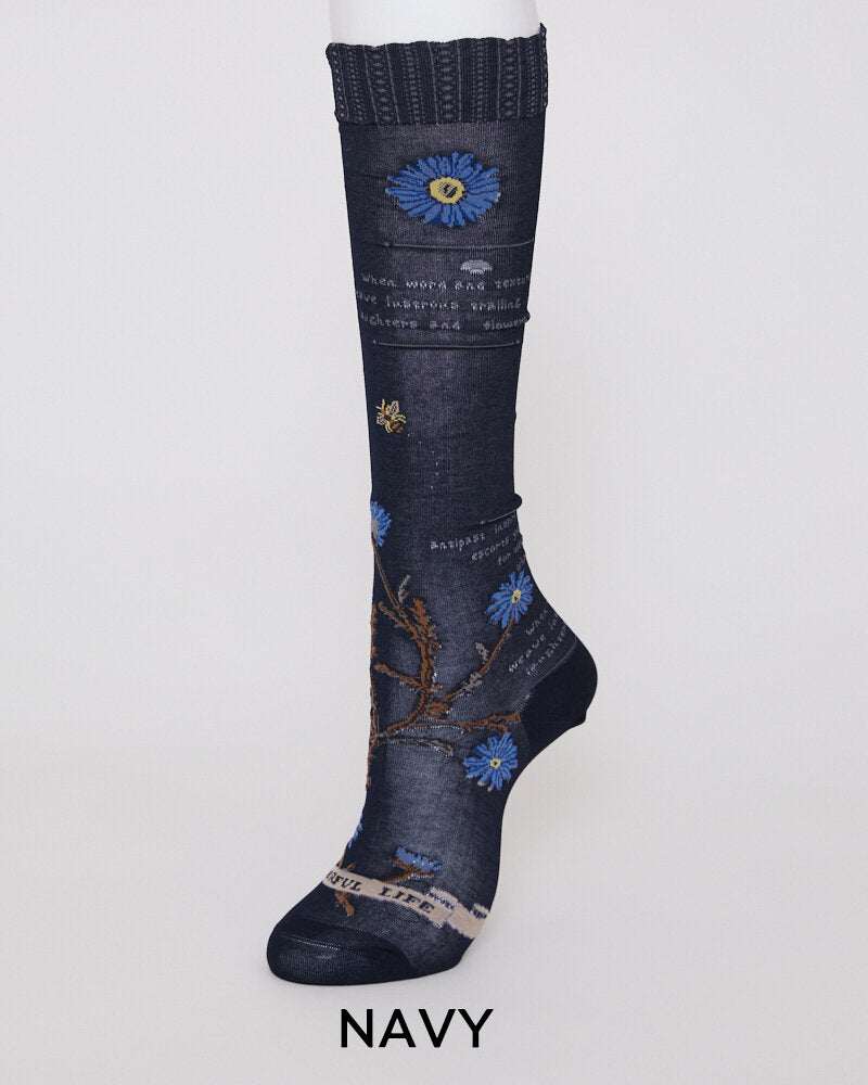 【NEW】AM-816HS / MARGARET II HS