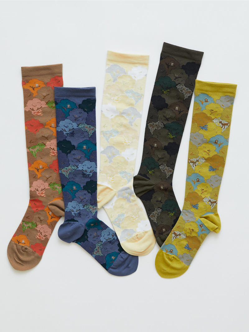 COMPRESSION LUSHELY FOREST HS