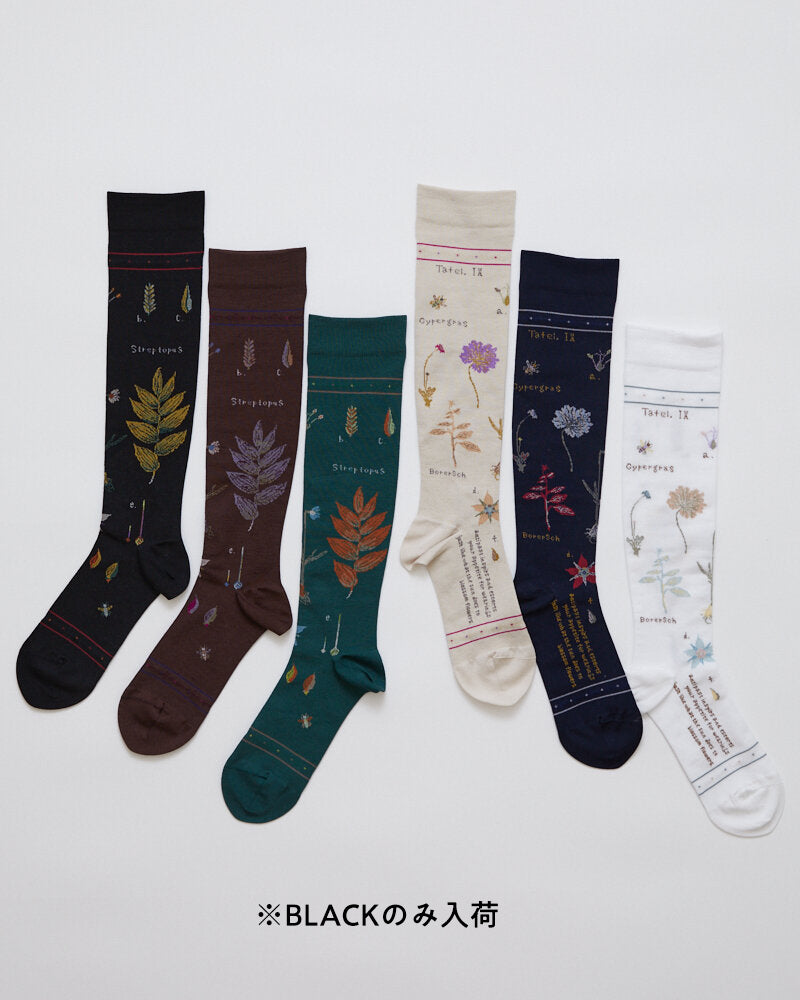 KT-179HS / BOTANICAL XVII COMPRESSION HS