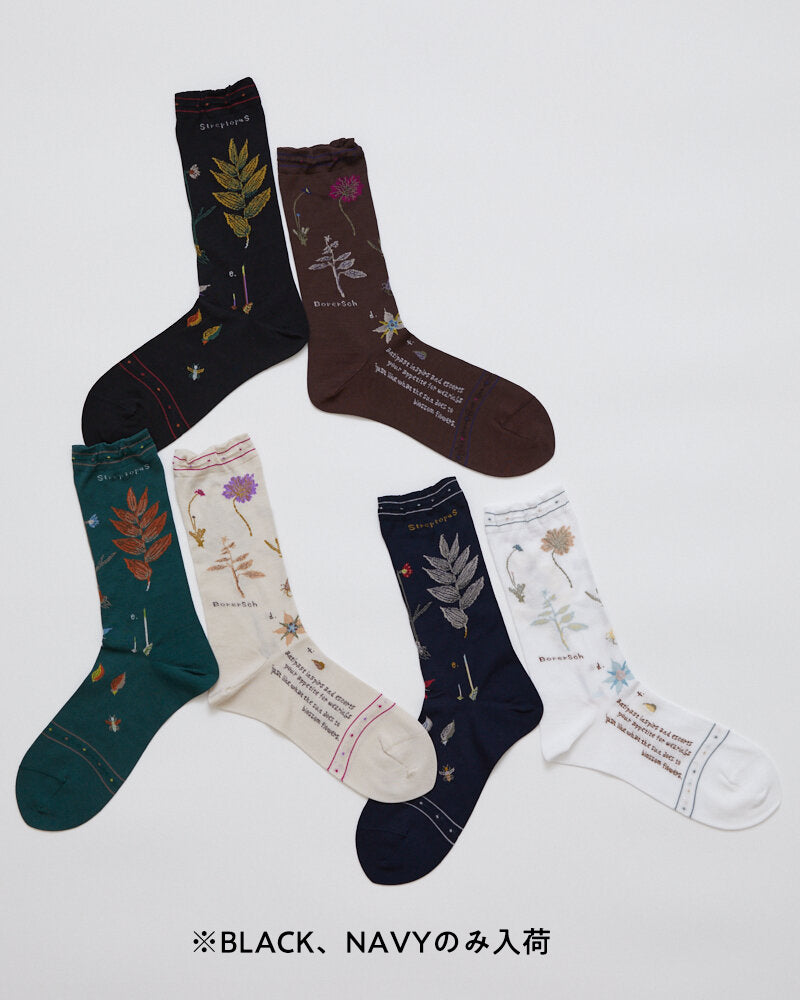 KT-179S / BOTANICAL XVII SOCKS