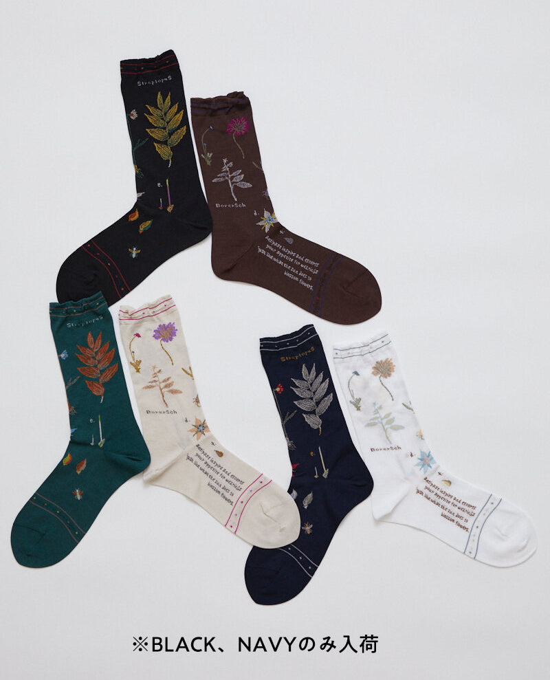 KT-179S / BOTANICAL XVII SOCKS