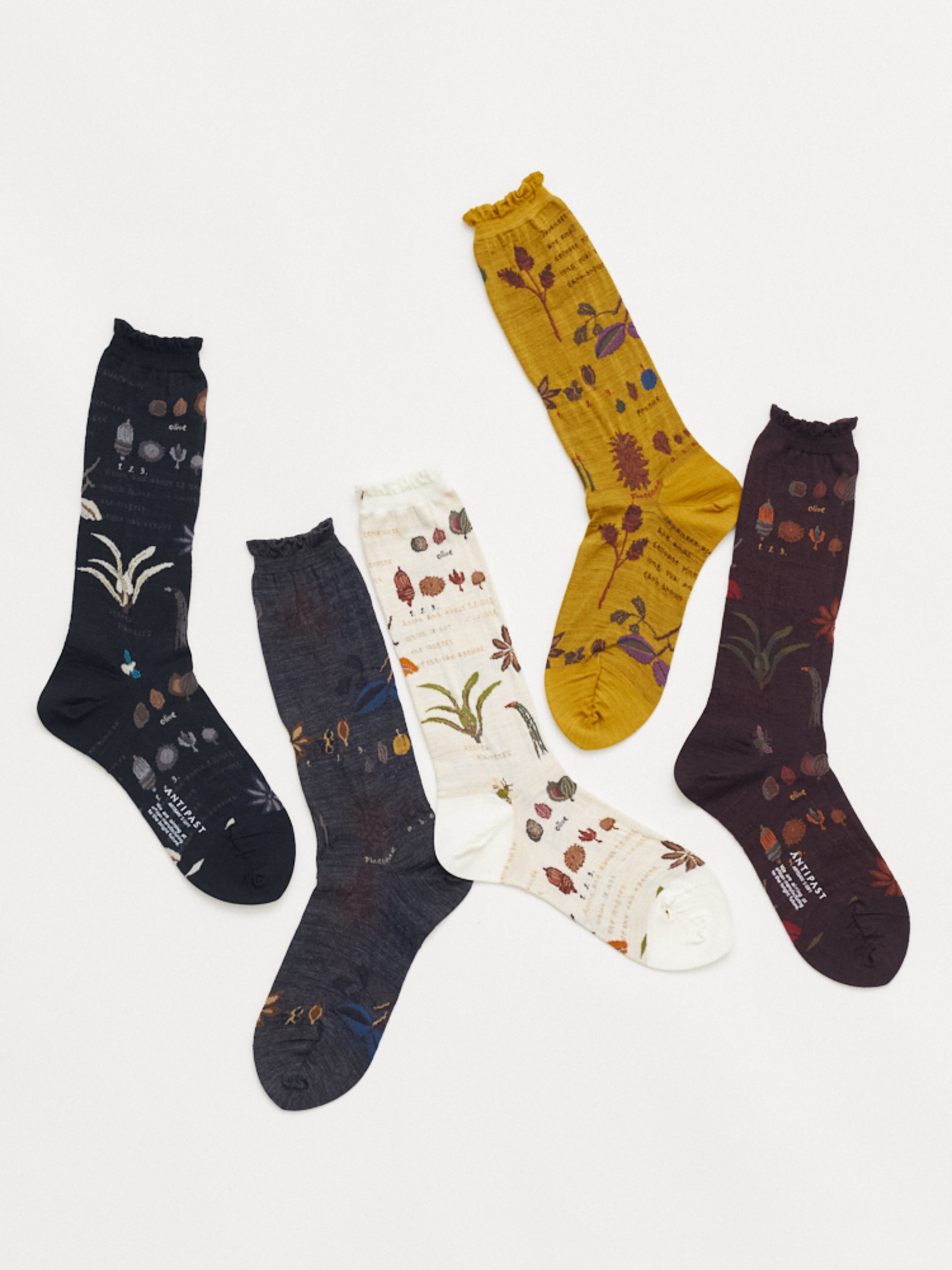 BOTANICAL XV SOCKS