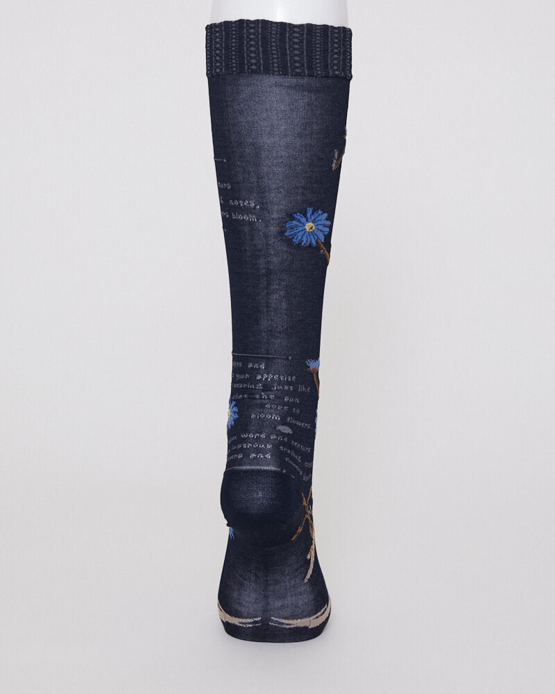 【NEW】AM-816HS / MARGARET II HS