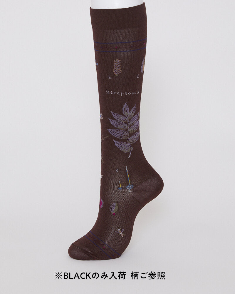 KT-179HS / BOTANICAL XVII COMPRESSION HS